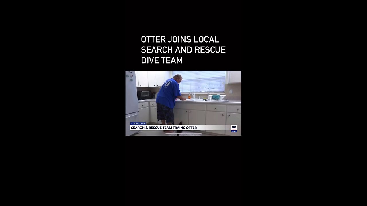 News on Splash