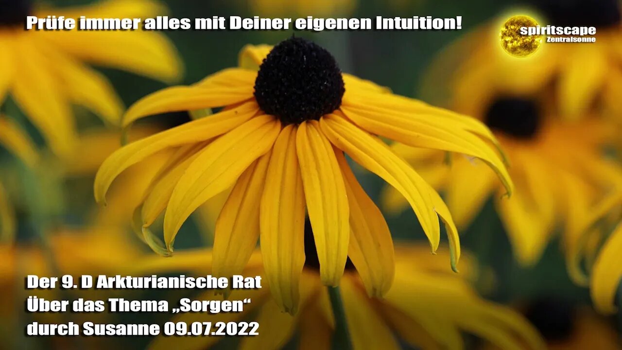 Über das Thema „Sorgen“ – Der 9.D Arkturianische Rat