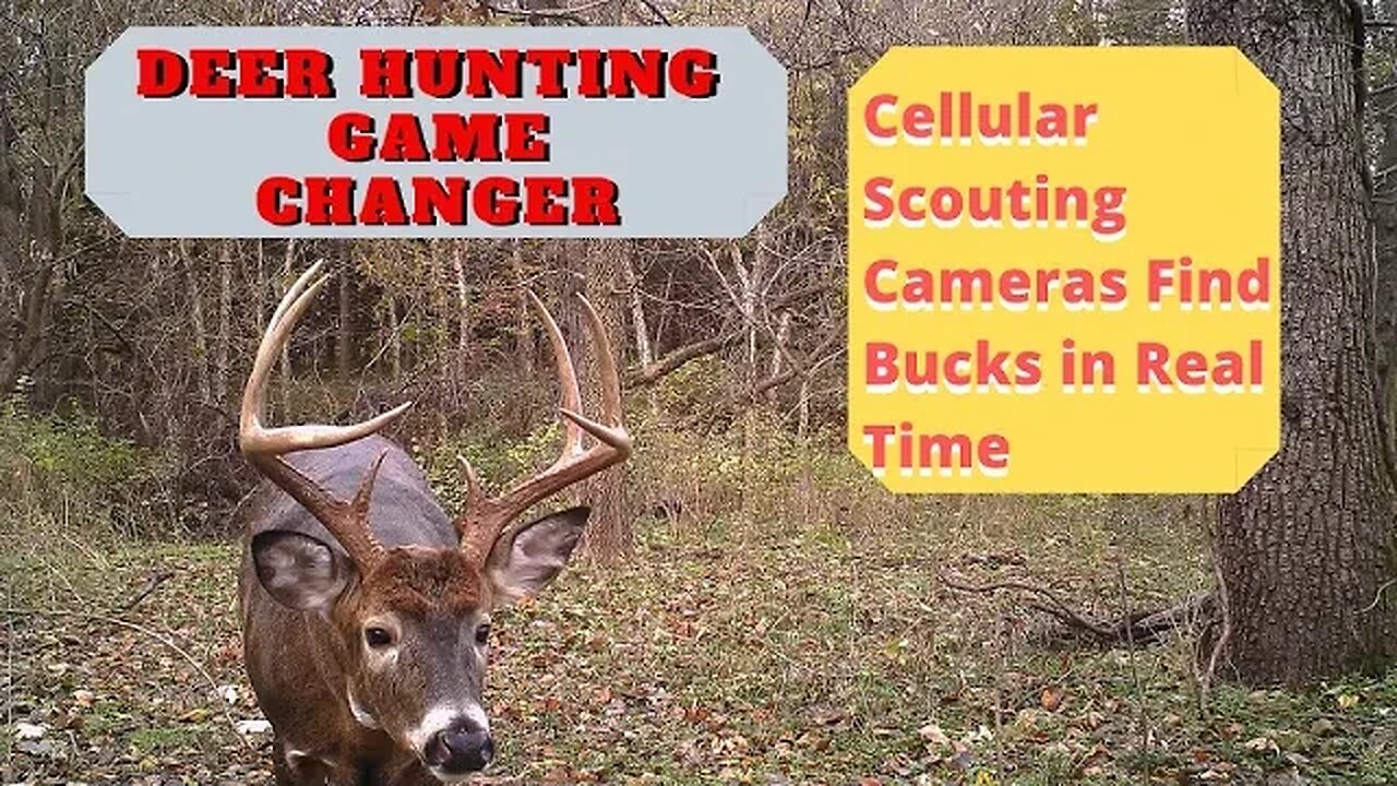 Deer Hunting Game Changer | Cell Phone Scouting cameras for Deer Hunting