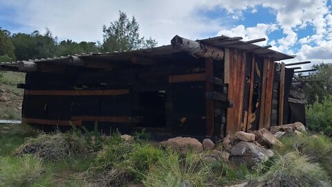 Cabin in the Woods, Mysterious Shack in the middle of nowhere, Mountains of Colorado