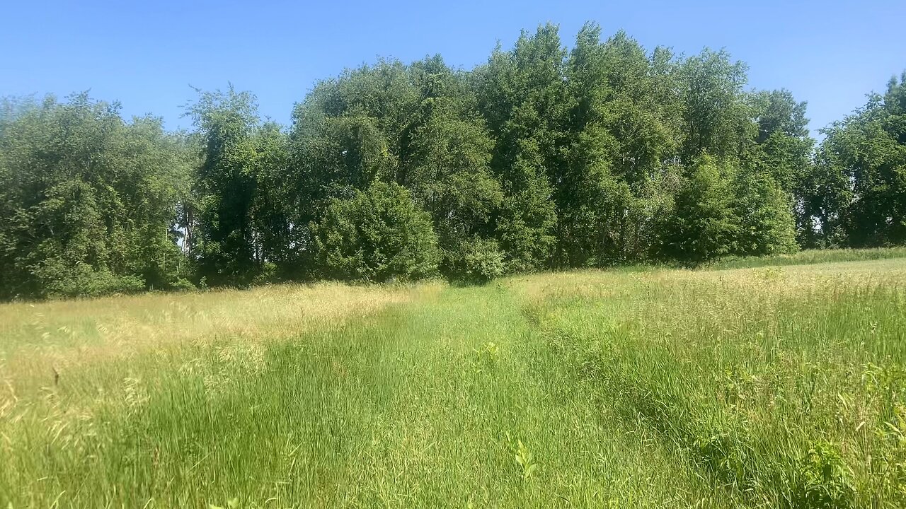 Push mowing the 2 track to the back of the property