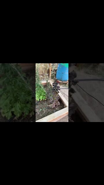 Slow and steady and we’ll get there