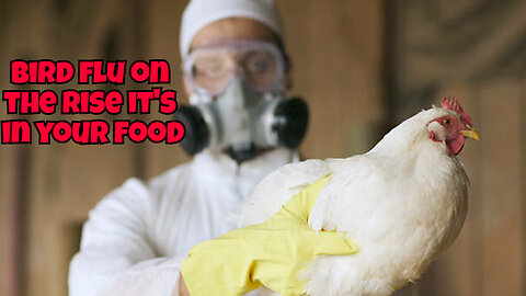 BIRD FLU CASES IS RISING AND IT'S IN HUMANS FROM CATTLE IN USA