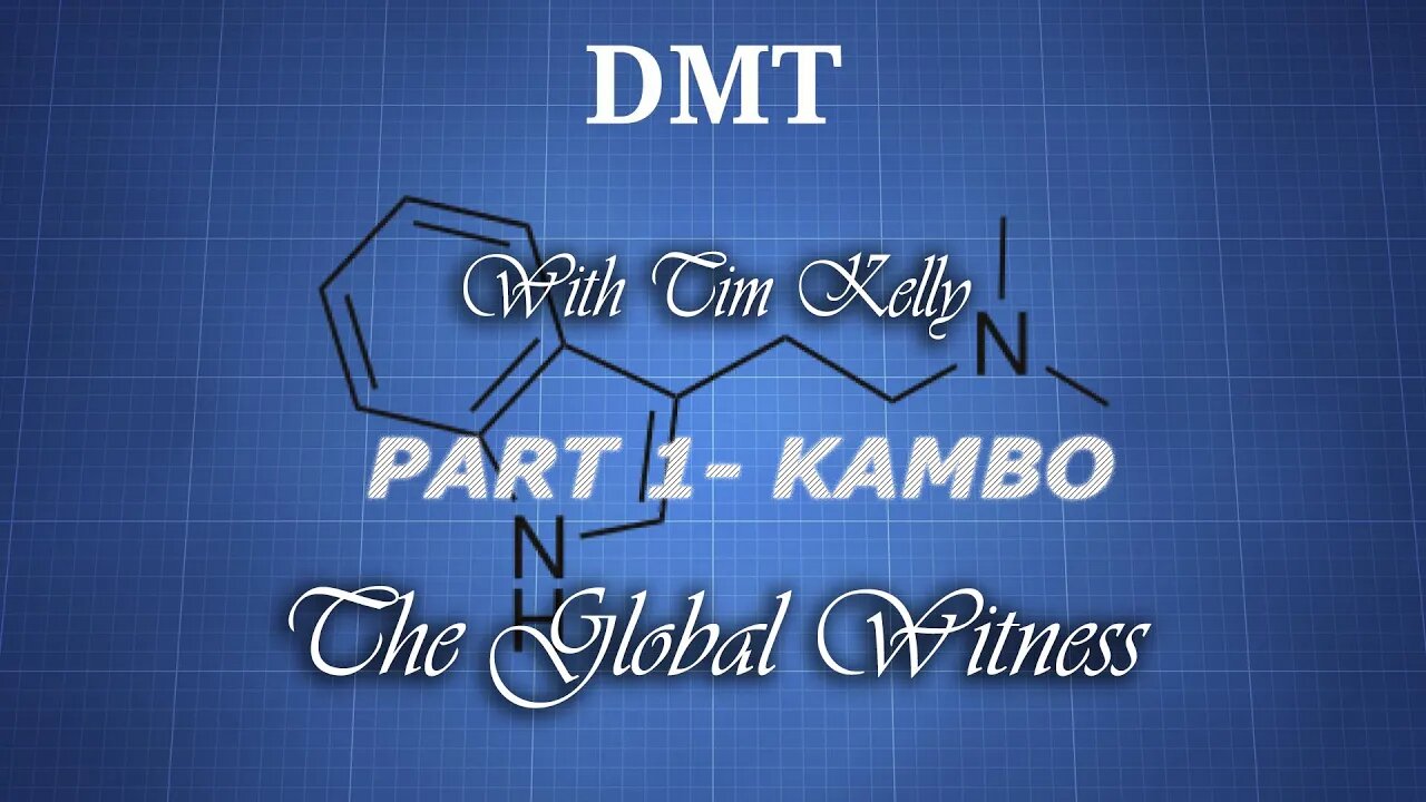 5-meo-DMT AWAKENING- CURING ADDICTION AND EMOTIONAL SLAVERY W/TIM KELLY