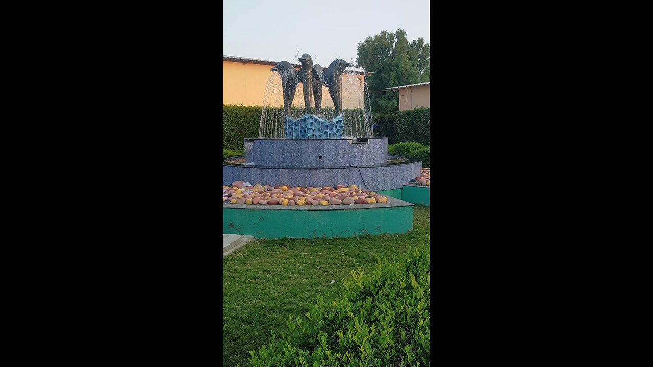 vel masli
