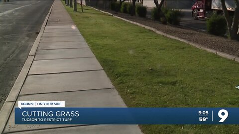 Tucson looks to lawn restrictions to ease water woes