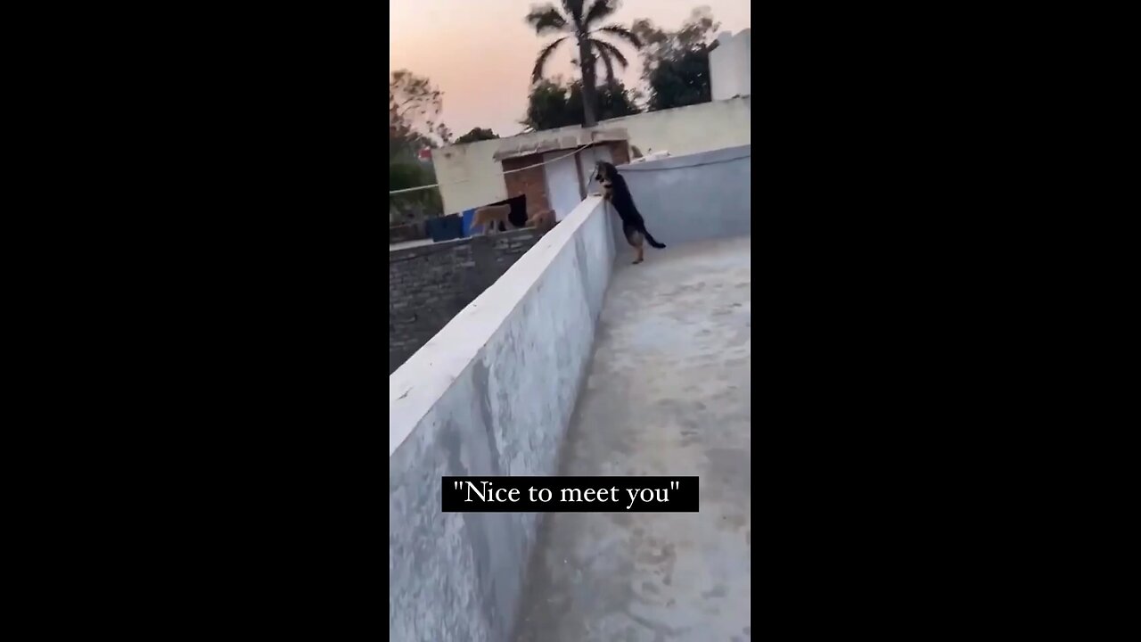 nice to meet you