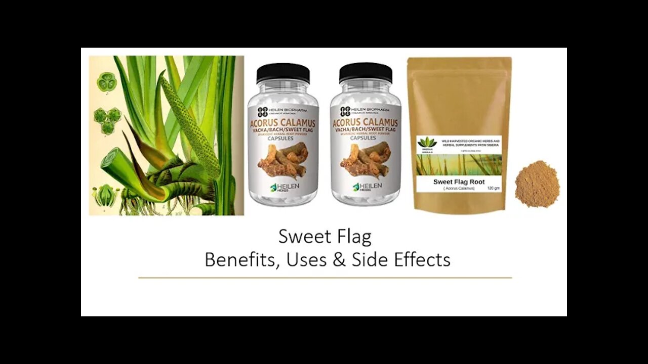 Sweet Flag - Herbal Medicine