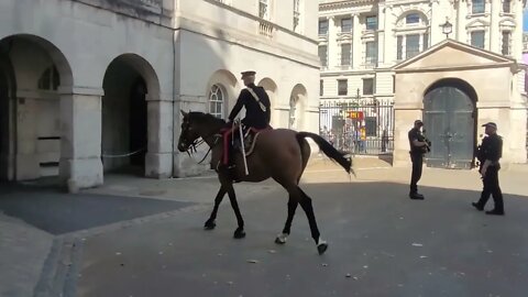 Colonal returns to the stables #horseguardsparade