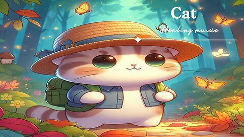 catㅣ#healingmusic