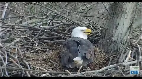 Hays Eagles Mom's not happy 3 3 20 338pm