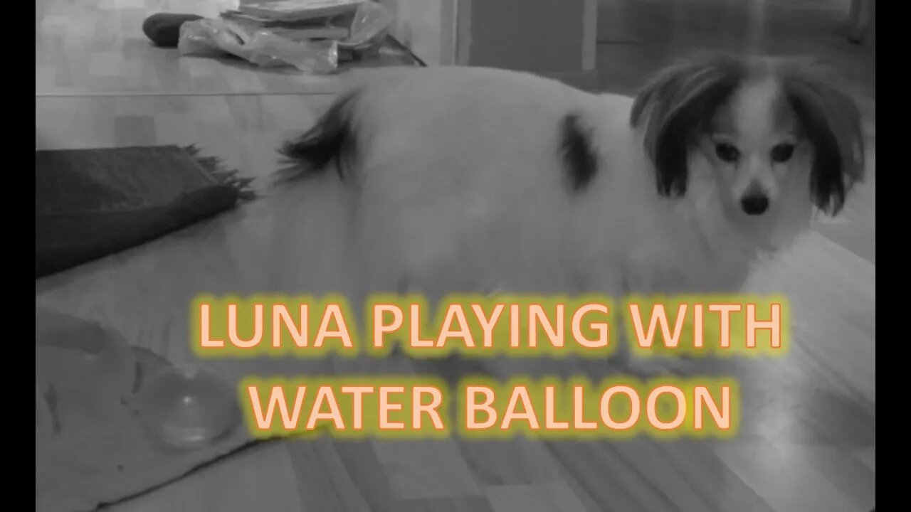 Luna playing with water balloon