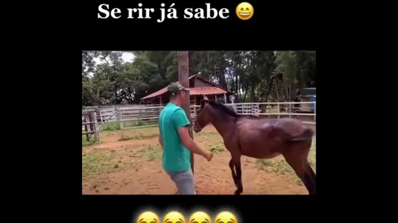 SE RIR JÁ SABE NE MESMO , PENSA NUMA PANCADA ( MEME ) ( VIRAL ) #shorts