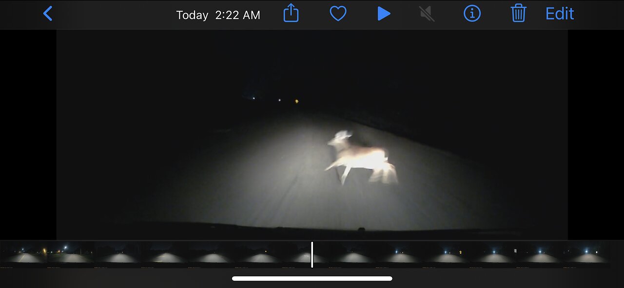 Look both ways before crossing the road