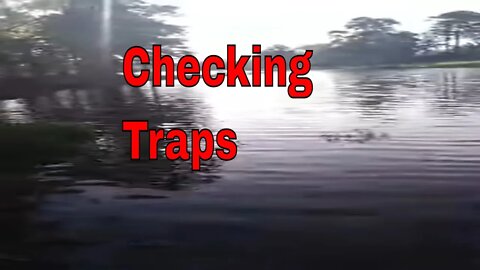 Checking Traps