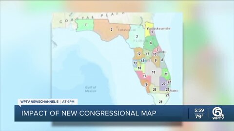 Florida legislature approves redistricting map amid protests