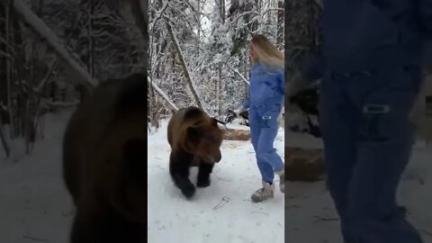 urso de estimação 😱😱