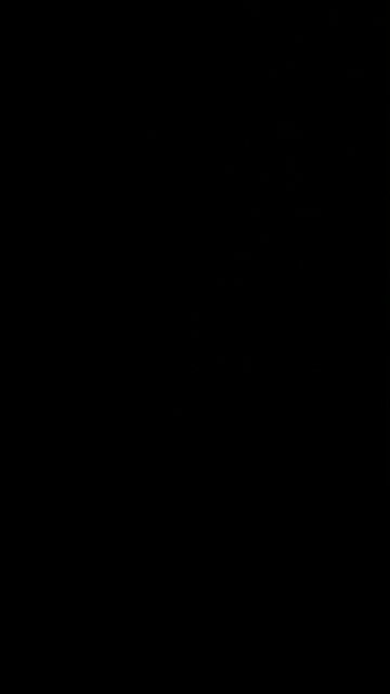 Minors at the border