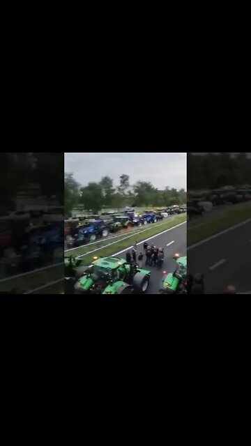 Netherlands: Dozens of farms and cattle ranches are closing in Holland to cut nitrogen by 30%