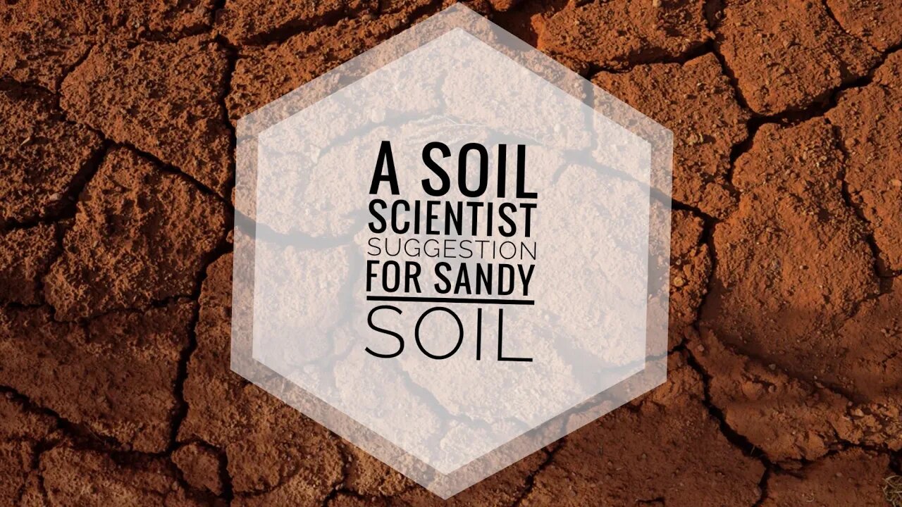 HOW TO FIX SANDY SOIL FOR PLANTING A GARDEN | A Soil Scientists Opinion | Gardening in Canada