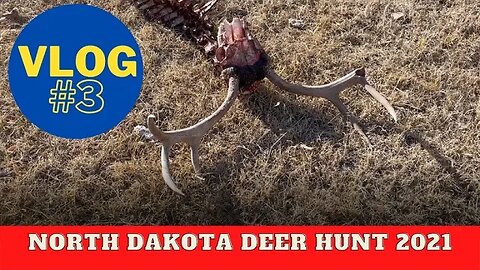 North Dakota deer hunting VLOG #3