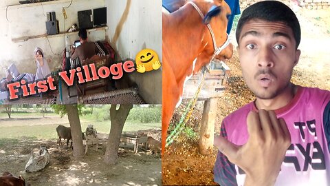 My first viloge | View of my house and my village with animals etc | Pahu Viloge Wala