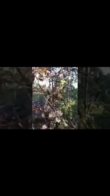 Chechen Special Forces Fighting To Liberate Zolote & Gorskoye Also Capturing Western Weapons Pt.1