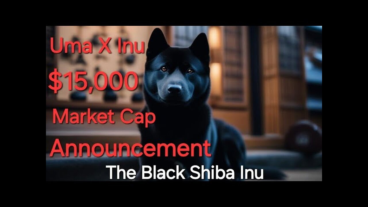 Uma X Inu - Wealth Transfer- $15,000 Market Cap Announcement - The Black Shiba Inu Dog