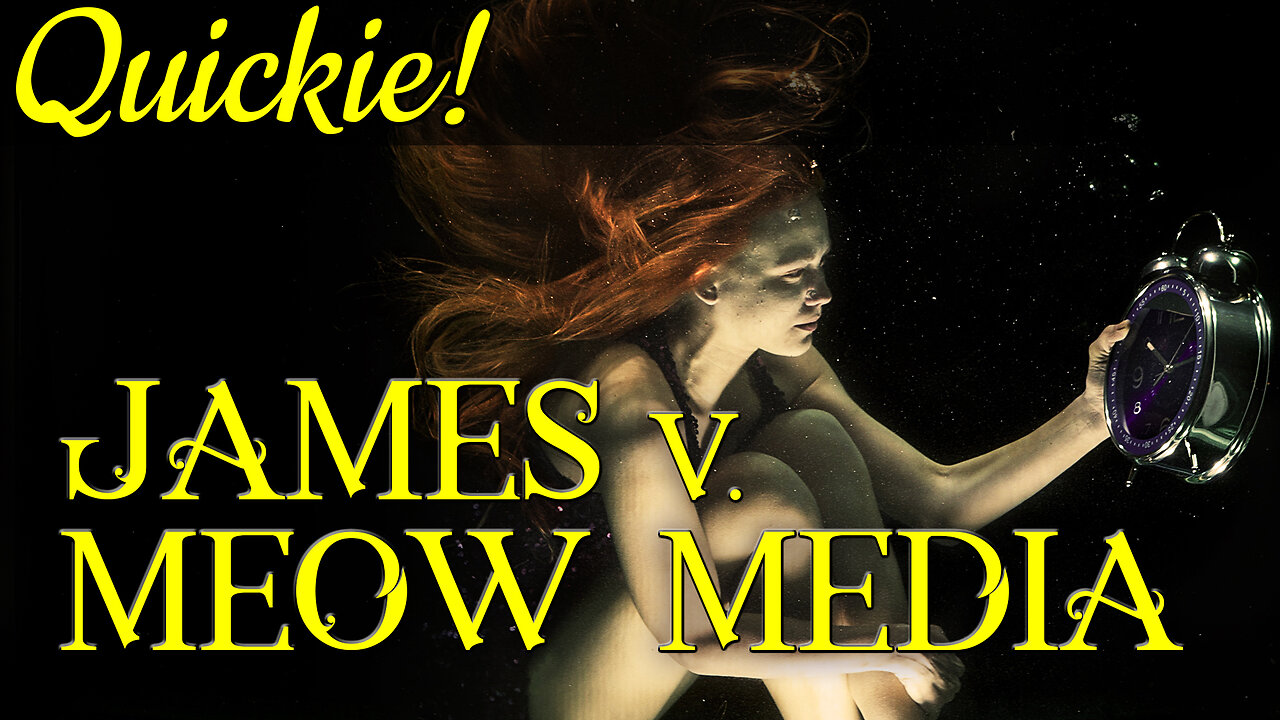 Quickie: James v. Meow Media Inc.