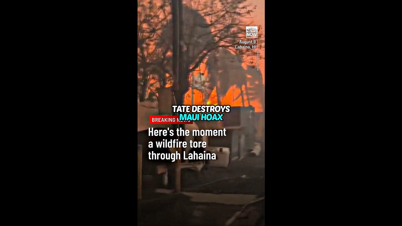 If Andrew Tate asked you “Do you believe the media?” what would you say? Maui Conspiracy Exposed