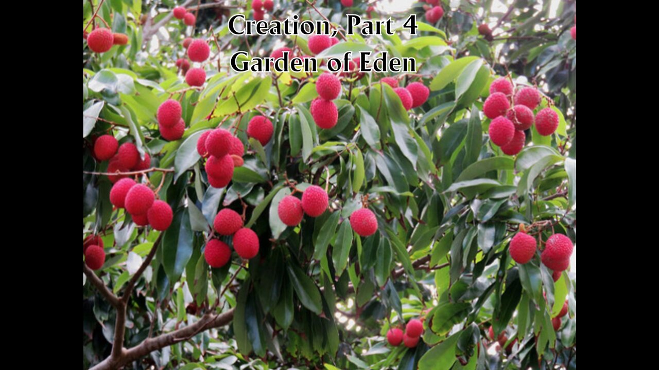 Creation Part 4: Eden