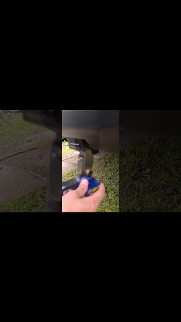 #shorts #2022 funny,prank,funjokes,dad jokes,funny memes,funny video,fun,laughing,funny animal,knock