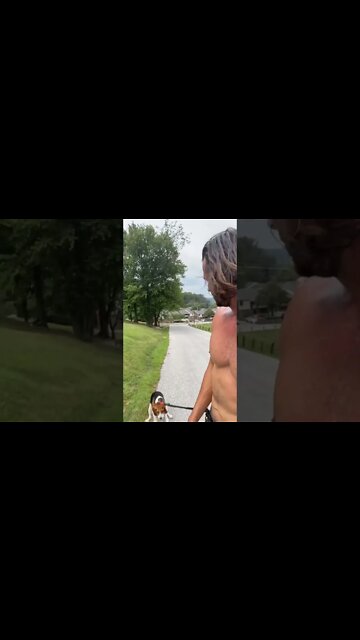 Dog RUINS hill sprints workout