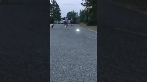 Funny 🤣 videos for entertainment(4)