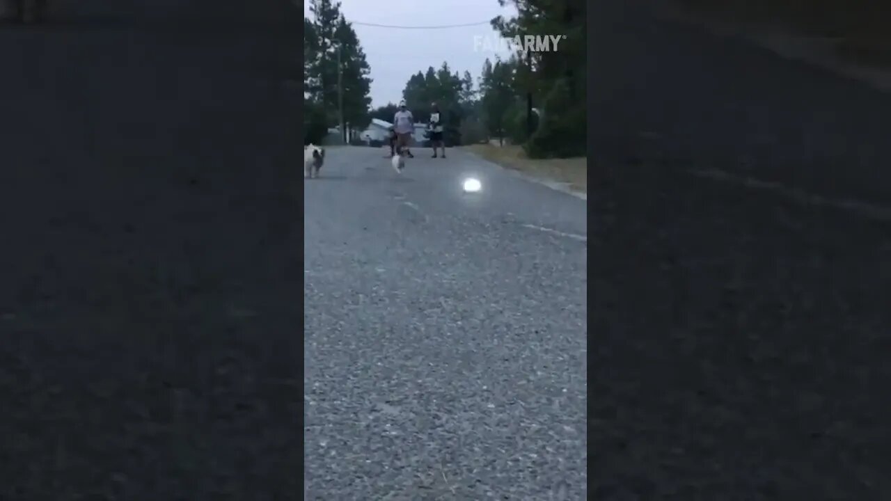 Funny 🤣 videos for entertainment(4)