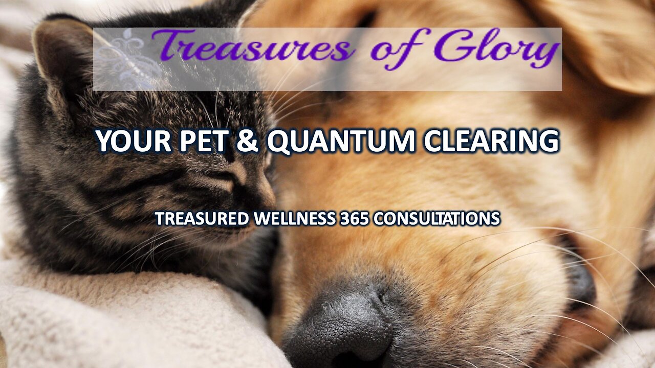 Your Pet & Quantum Clearing - TW365 Episode 23