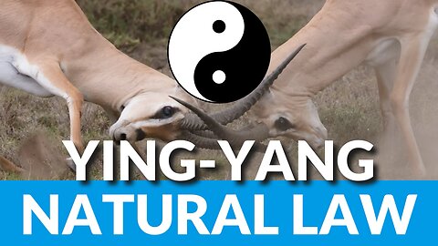 Ying-Yang & Natural Law Abuse To Harm Humankind