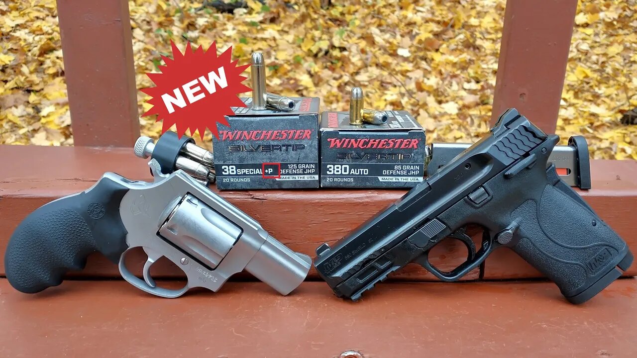 Silver Bullets! Winchester Silvertip .38 Special+P VS .380 ACP - Ballistic Gel Test