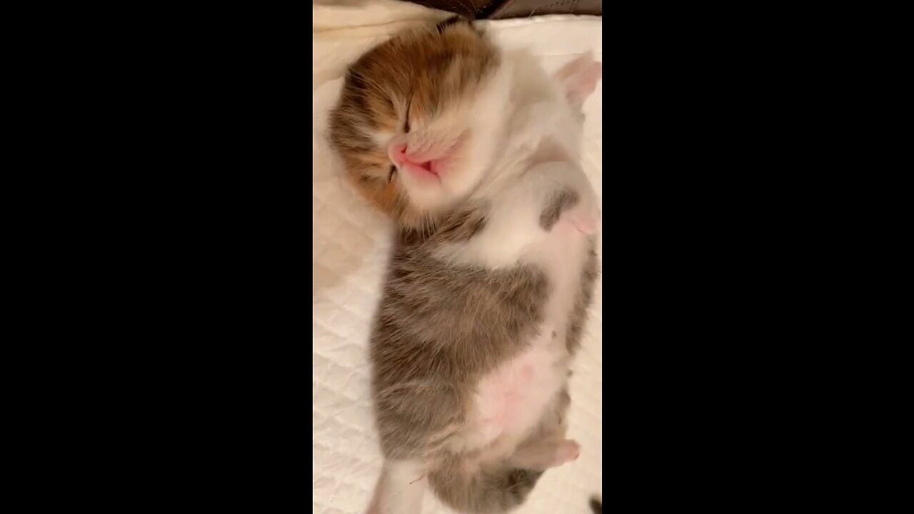 So adorable 🥰