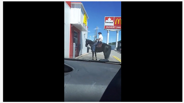 Man on horse struggles at McDonald's drive-thru