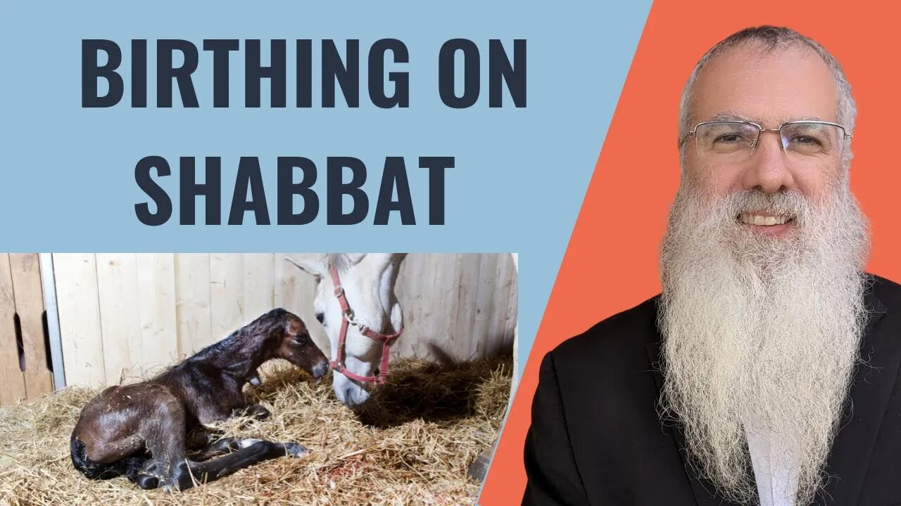 Mishna Shabbat Chapter 18 Mishnah 3 Birthing on Shabbat