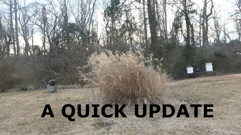 BURNING BUSH UPDATE