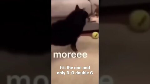 MEME is the one and only D-O double G #shorts