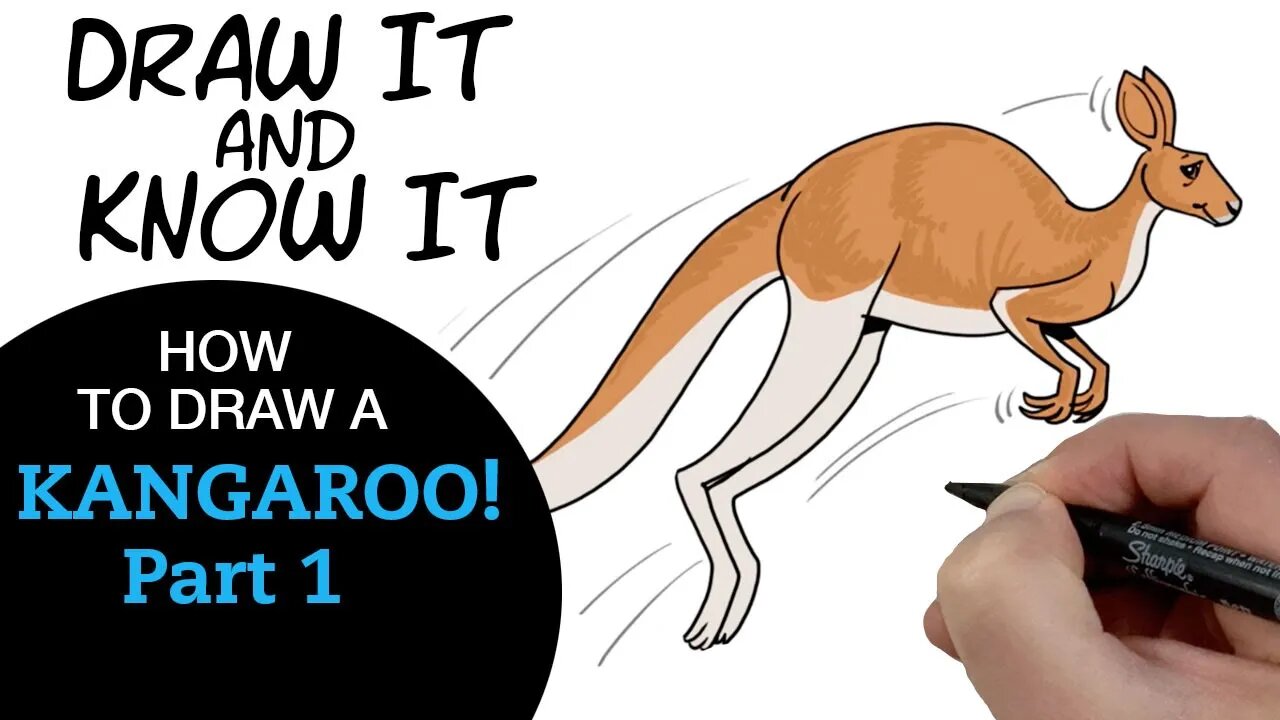 Draw It & Know It (Art Lesson Edition) | How to Draw a Kangaroo!