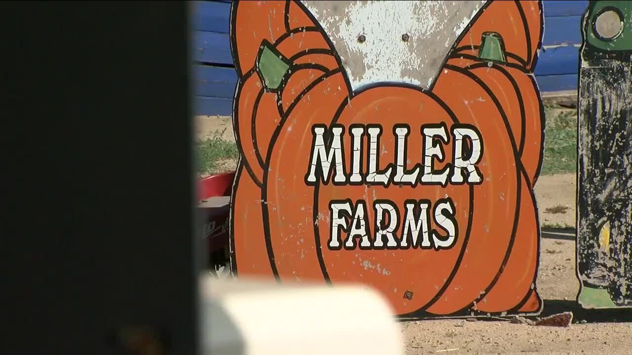 Denver7 viewers raise $5,000 for Miller Farms to help recover from tornado damage