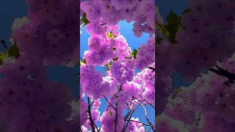 Beauty of nature