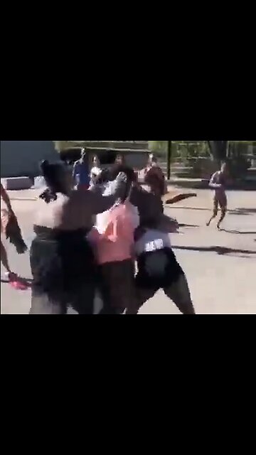 Just What The Hell Is Wrong With These 'People'? - They Constantly Fight