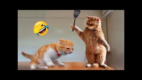 Funniest Animals 2023 😂 Funny Cats and Dogs Videos 😺🐶 Part 1