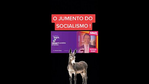 Metáfora do socialismo