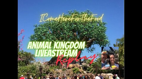 HQ replay of Disney’s Animal Kingdom! What’s NEW?